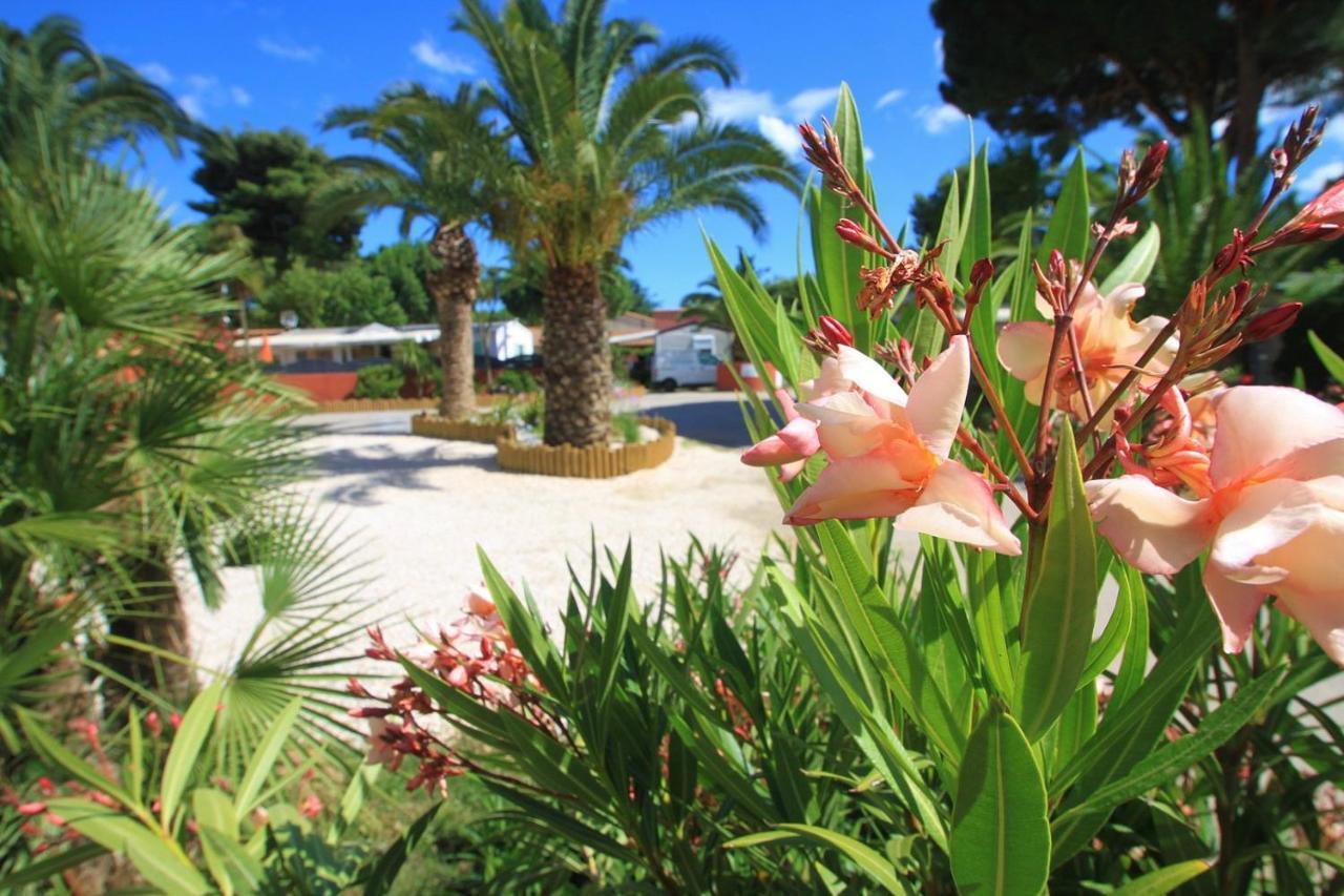ארגלס-סור-מר Camping Del Mar 10, Mobil Home Petit Paradis, 6 Personnes, Bord De Mer, Camping Del Mar Village מראה חיצוני תמונה