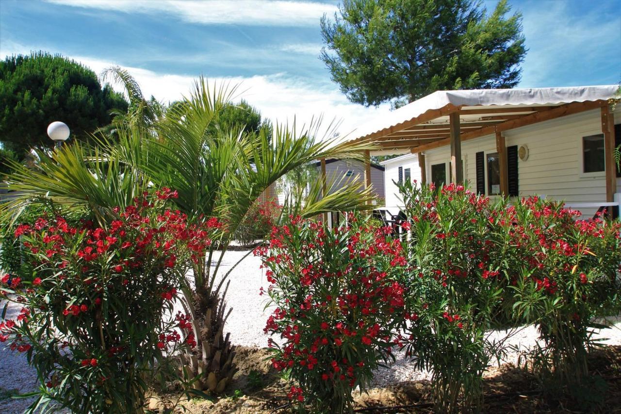 ארגלס-סור-מר Camping Del Mar 10, Mobil Home Petit Paradis, 6 Personnes, Bord De Mer, Camping Del Mar Village מראה חיצוני תמונה
